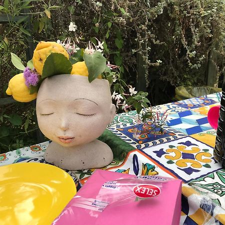 La Gallina Felice B&B 메타 외부 사진