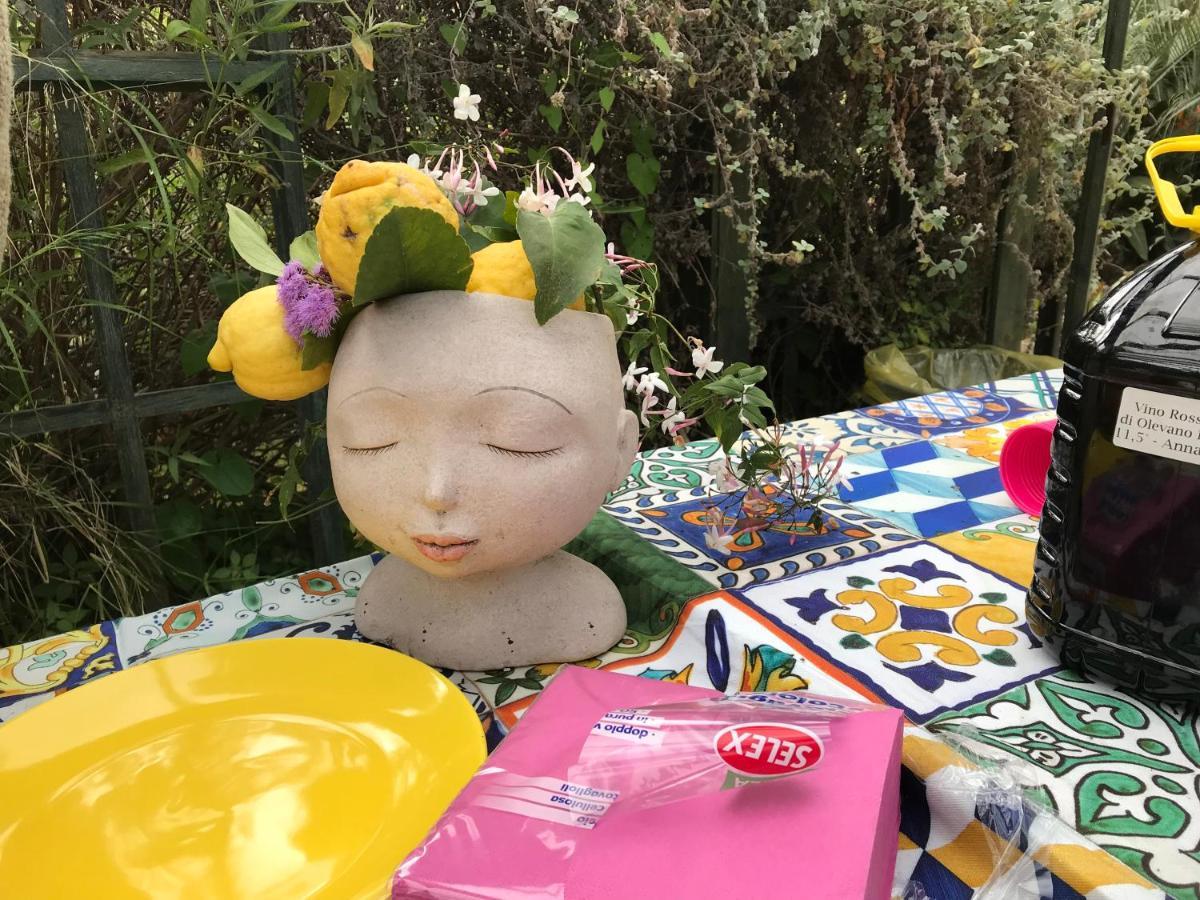 La Gallina Felice B&B 메타 외부 사진