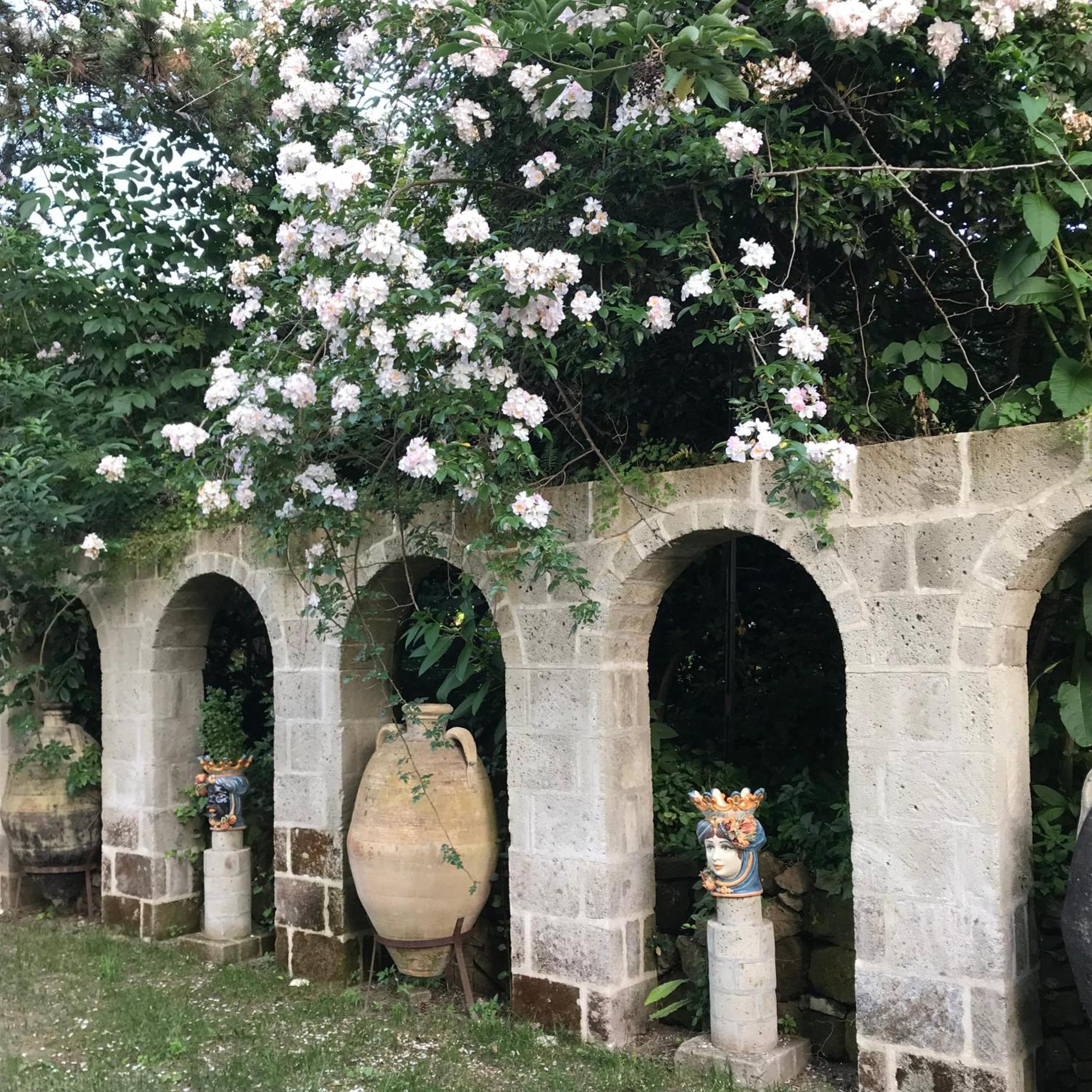 La Gallina Felice B&B 메타 외부 사진