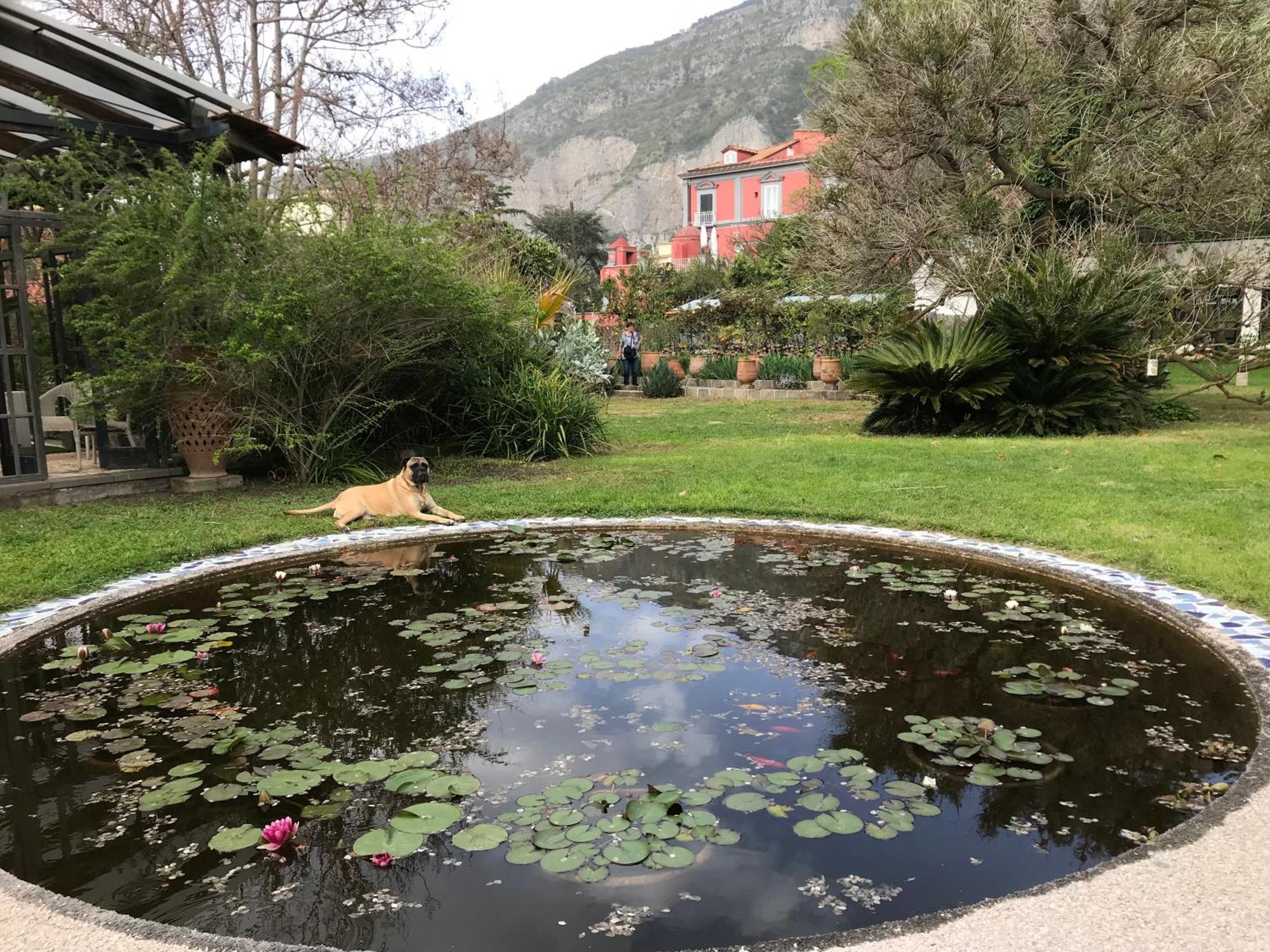 La Gallina Felice B&B 메타 외부 사진