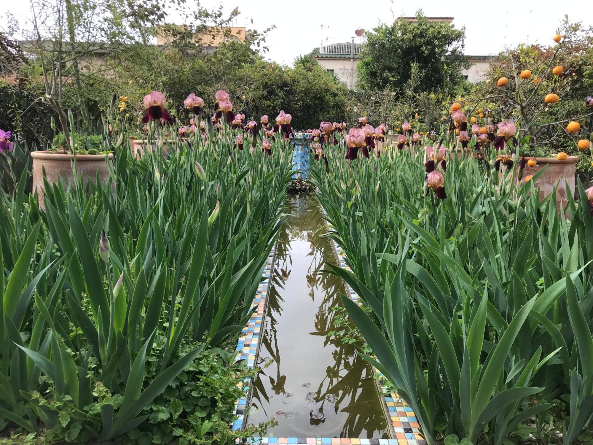 La Gallina Felice B&B 메타 외부 사진