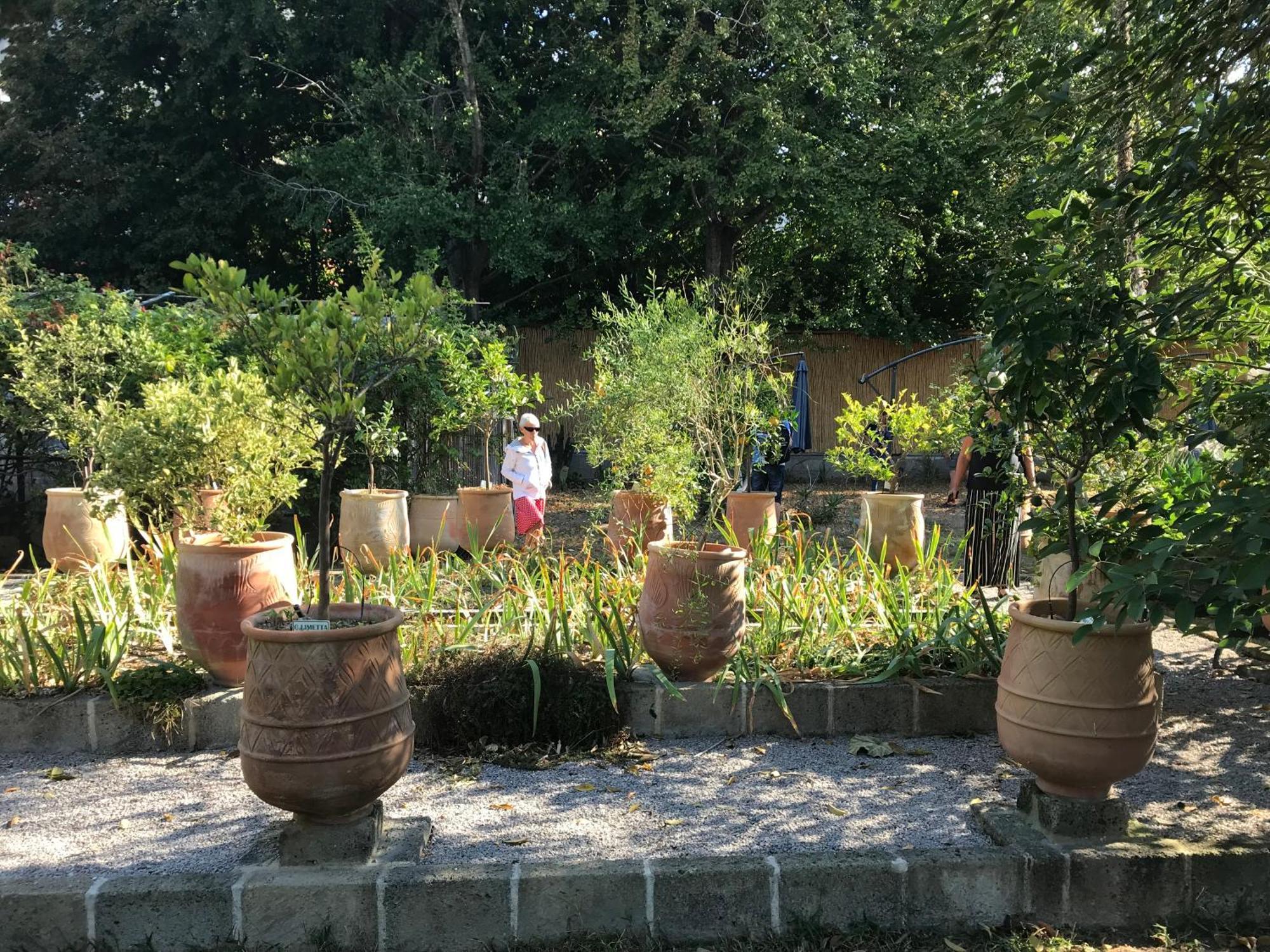 La Gallina Felice B&B 메타 외부 사진
