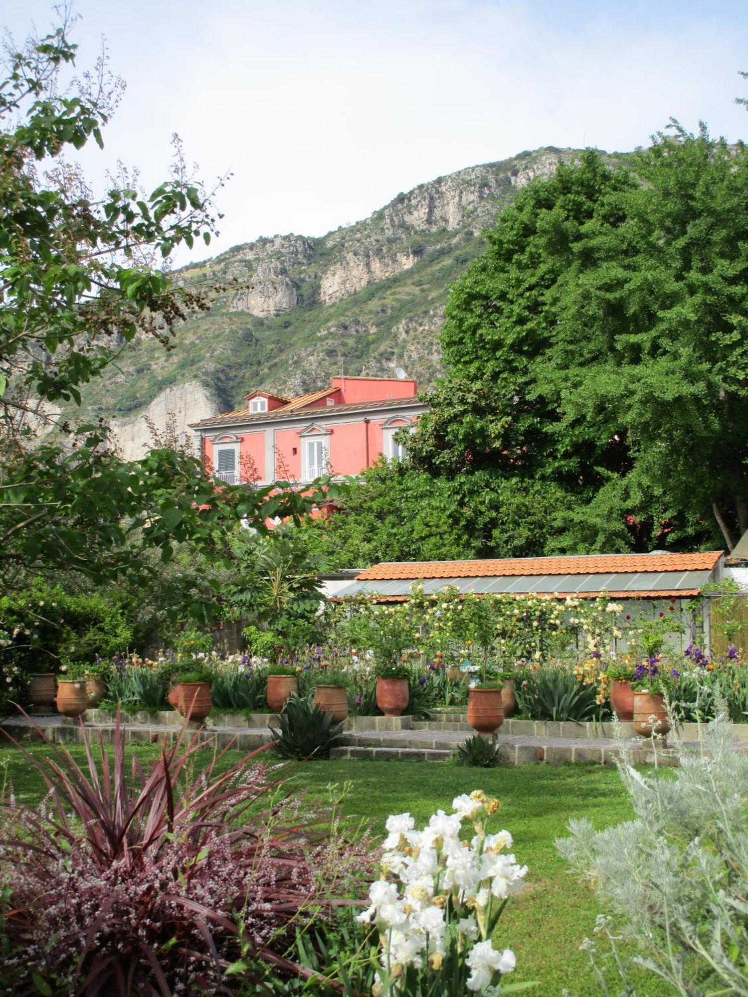 La Gallina Felice B&B 메타 외부 사진