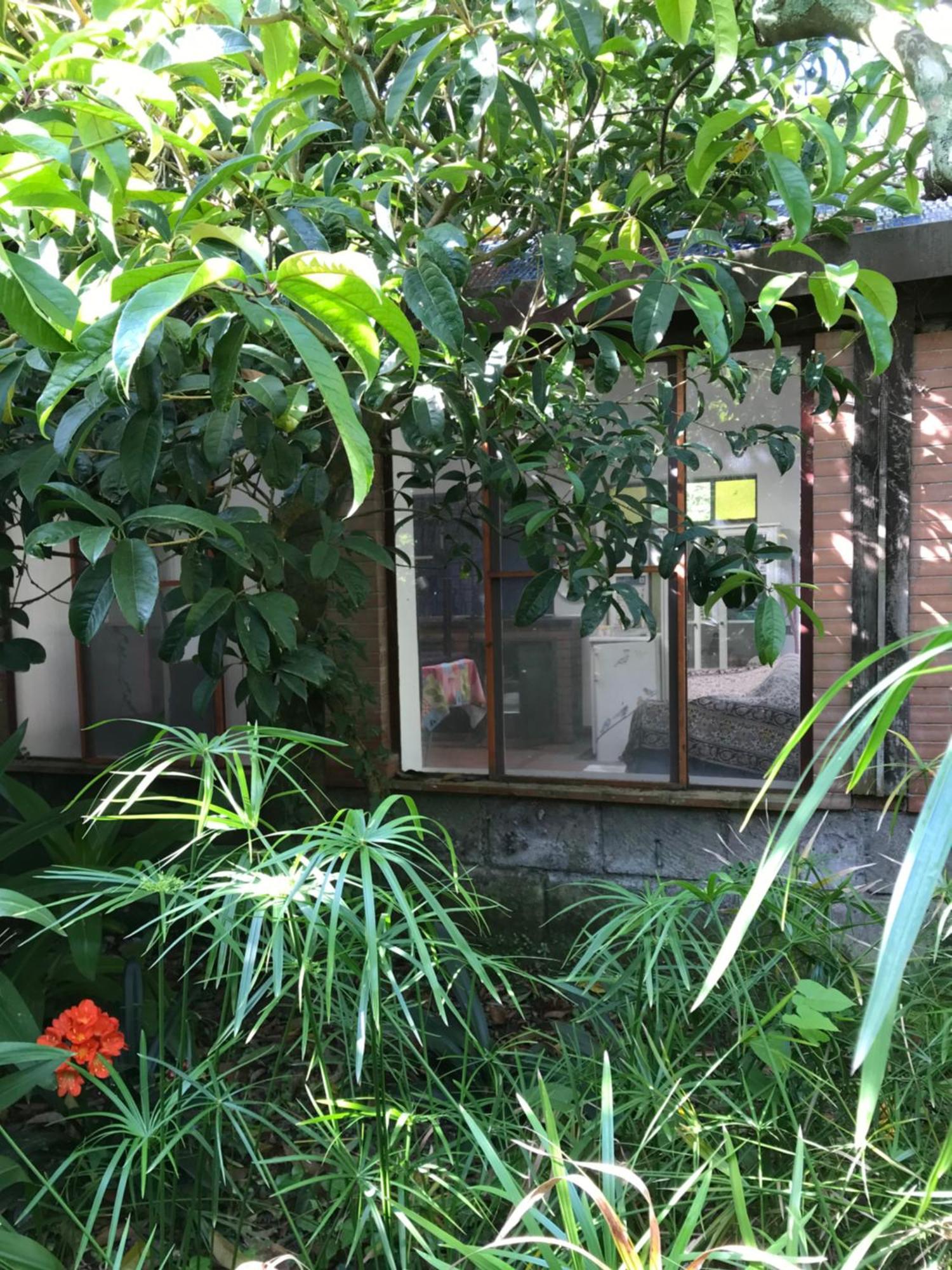 La Gallina Felice B&B 메타 외부 사진