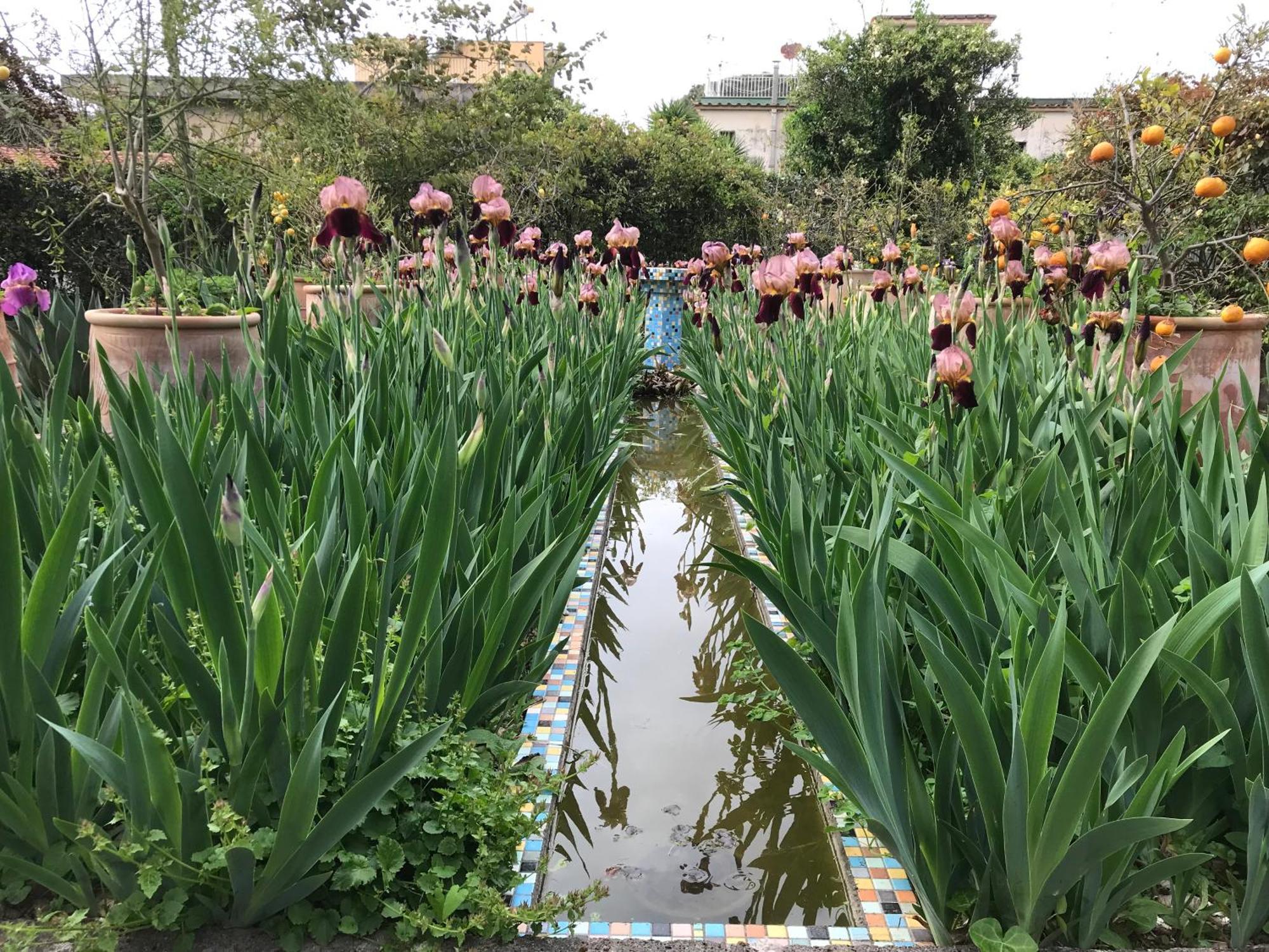 La Gallina Felice B&B 메타 외부 사진