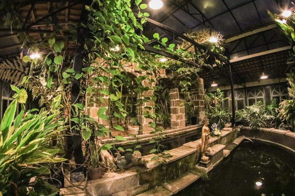 La Gallina Felice B&B 메타 외부 사진