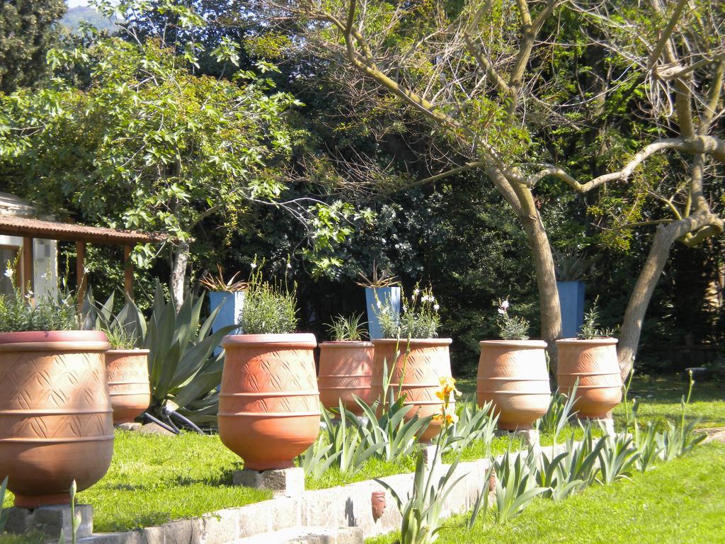 La Gallina Felice B&B 메타 외부 사진
