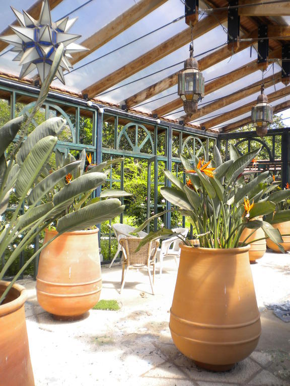 La Gallina Felice B&B 메타 외부 사진